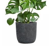 Pflanzwerk® Pot de Fleur Fibre de Verre Cup Ø51cm Lave Anthracite Jardinière antigel* *Protection UV* *Qualité européenne*