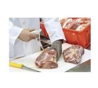 Testo pH-mètre 205 à poignée pH/température pour denrées alimentaires