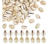 PH PandaHall 100pcs Coquillages Cauris Naturels Coquillage Cauri 20mm Anneau Supérieur Coquillages de Plage Petits Coquillages Artisanaux Ornement pour Fête D'Été Table Chapeau Décor de Costume 250g
