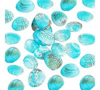 PH PandaHall 35pcs Bleu Perles de Coquillages Naturels, Coquilles Saint-jacques Non Percées Coquillages de Plage de Palourdes Bleues pour Maison Fête Mariage Décor Remplisseur Vase Aquarium