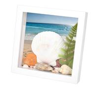 PH PandaHall Boîte d'Affichage en Bois pour Coquillages 20.5cm Cadre de Boîte ombre pour Coquillages Étui Porte Coquillages Blanc pour Décor de Plage Décor Côtier Maison