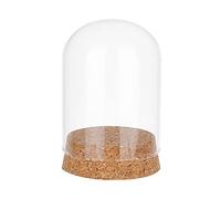 PH PandaHall Cloche de dôme d'affichage en verre, Cloche en verre avec bouchon Dôme de bouteilles en verre Vitrine de bocaux décoratifs pour le stockage de fleurs Décoration de fête à la maison 6x7cm