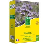 Phacélie - BHS - 500g | 100 m² | Croissance rapide, résiste à la sécheresse.