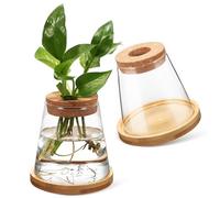 PHENOFICE Vases Hydroponiques avec Bouchon en Bois Percé et Support en Bambou Lot de 2 en Verre Transparent 330ml et Décoration Élégante de Table pour Propagation de Plantes