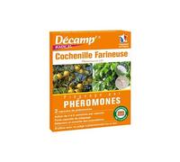 phéromone contre les cochenilles farineuses