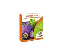 Phéromones ver de la prune x2 - Boîte de 2 capsules