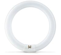 PHILIPS Actinic BL TL-E 22W/10 1CT/20 Lampe anti-insectes 22W Actinic G10q Ring - Lampes fluorescentes, socle spécial