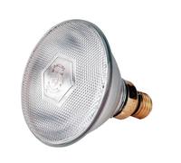 Philips Ampoule infrarouge économique 100 W ampoule blanche chauffante de PHILIPS