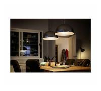 Philips ampoule LED sphérique E27