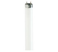 Philips, Ampoule, MASTER TL-D Graphica-Fluorescent lamp- 871150088852525 (G13, 930 lm, 1x)