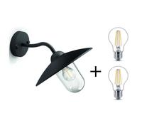 PHILIPS Applique d'extérieur Hammock Noir + Lot de 2 ampoules LED Classic 60W
