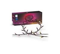 Philips Hue Guirlande lumineuse Festavia White et Color Ambiance 500 LED 40 m Noir