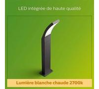 Philips Borne Splay - 12W - Anthracite Anthracite G