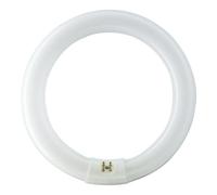 Philips Générique - G10Q CIRCLINE 40w 4000K/840