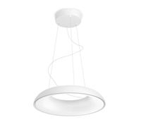 Philips Hue Amaze - Suspension LED intelligente, avec télécommande, blanc 929003054801