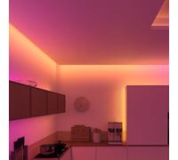 Philips Hue Flux Ultra Bright Gradient Lightstrip Ruban LED, 8721103088413,