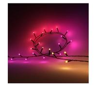 Philips Hue Guirlande lumineuse Festavia White et Color Ambiance 500 LED 40 m Noir