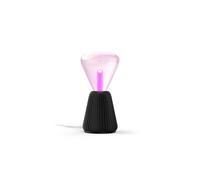 Philips Hue Lightguide Triangulaire + Lampe À Poser Cônique (noir)