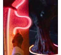 Philips Hue Neon Gradient Outdoor Lightstrip Ruban LED, 8721103088734,