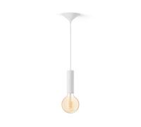 Philips Hue Pack:cordon De Suspension Moyen Blanc Pour Ampoules À Filament + Ampoule Globe Filament G125 Blanc Chaud À Blanc Froid.