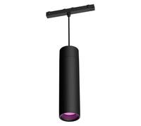 Philips Hue White & Color Ambiance, Éclairage Perifo, 1 Spot + Rail, Noir | Spot Orientable, 490lm, 2700K, 5.3W, LED Blanc & Couleurs, Contrôle Vocal & App, Alexa Google & HomeKit, Bluetooth, Matter
