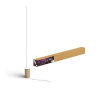 Lampe connectée PHILIPS HUE Gradient Signe Chene White&Color Ambianc
