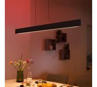 Philips Hue White & Color Ambiance Ensis Suspension, LED, 8719514343368,