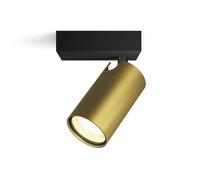 Philips Idris 1 spot, GU10 sans lampe, laiton, IP44, résistant à l'eau