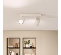 Philips Idris Projecteur, GU10, 2 sources lumineuses, 8720169299092,