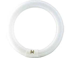 Philips Leuchtstofflampe TL-E 22W/840 - Lampes fluorescentes, socle spécial
