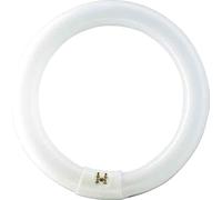 Philips Leuchtstofflampe TL-E 40W/840 - Lampes fluorescentes, socle spécial