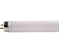 Philips Lighting 63177040 SLV QPAR51 / Ampoule LED / GU10 4000 K 6 W 460 LM Noir Intensité Variable, G13, 18 W, 865 Lumière Naturelle