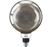 Philips Ampoule LED LEDclassic Vintage XL G200 E27 6,5 W 1800 K