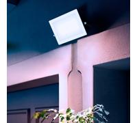 Philips Projecteur LED extérieur Lois 50 W 5000 K 5400 lm Noir