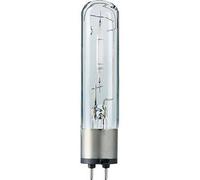 Philips Master Colour SDW-T 50W 825 PG12-1 NEU OVP