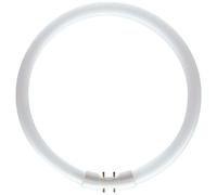 Philips Master Lampe Fluorescente TL5 60W/840 2GX13 Circular Blanc Neutre 4000K