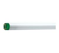 Philips Master Tl-D Eco Ampoule Fluorescente 51,4 W G13 Blanc Froid Blanc