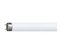 Philips Master Tube Fluorescent TL-D T8 105Cm 38W/830 G13 Blanc Chaud 3000K