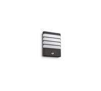 Philips Applique murale LED Raccoon 172749316 avec détecteur IR, 1 lampe, anthracite