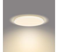 Philips Panneau LED Ozziet Sceneswitch 3 intensités 22W Blanc