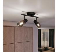 Philips Palms Projecteur, E14, 2 sources lumineuses, 8720169299290,