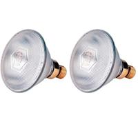 Philips PAR38 Lampe infrarouge Philips claire 175W 240 V (Lot de 2)