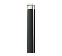 Philips Philips Lighting Lampe fluorescente 36W lumière noire TL-D 36W/108 Quantité:1