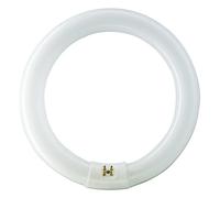 Philips TL-E 22W/865 1CT/12 Tube Fluorescent 84053700