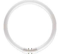 Philips TL5-C 84 2GX13 Circular Pro Lampe fluorescente 40 W - Blanc froid