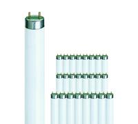 Philips Tube Lot 25x MASTER TL - D Super 80 18W - 840 Blanc Froid | 60cm