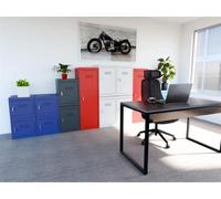 phoenix CL0544GGK phoenix Casier à cube CL0544, serrure à clé, gris clair