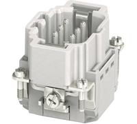 Phoenix Contact 1407728 Insert mâle HC-B 6 + PE borne à enficher 1 pc(s)