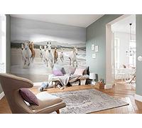 Photo Murale, 368cm X 254cm, Chevaux Blanc