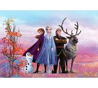 Photo Murale, 368cm x 254cm, Frozen Iconic